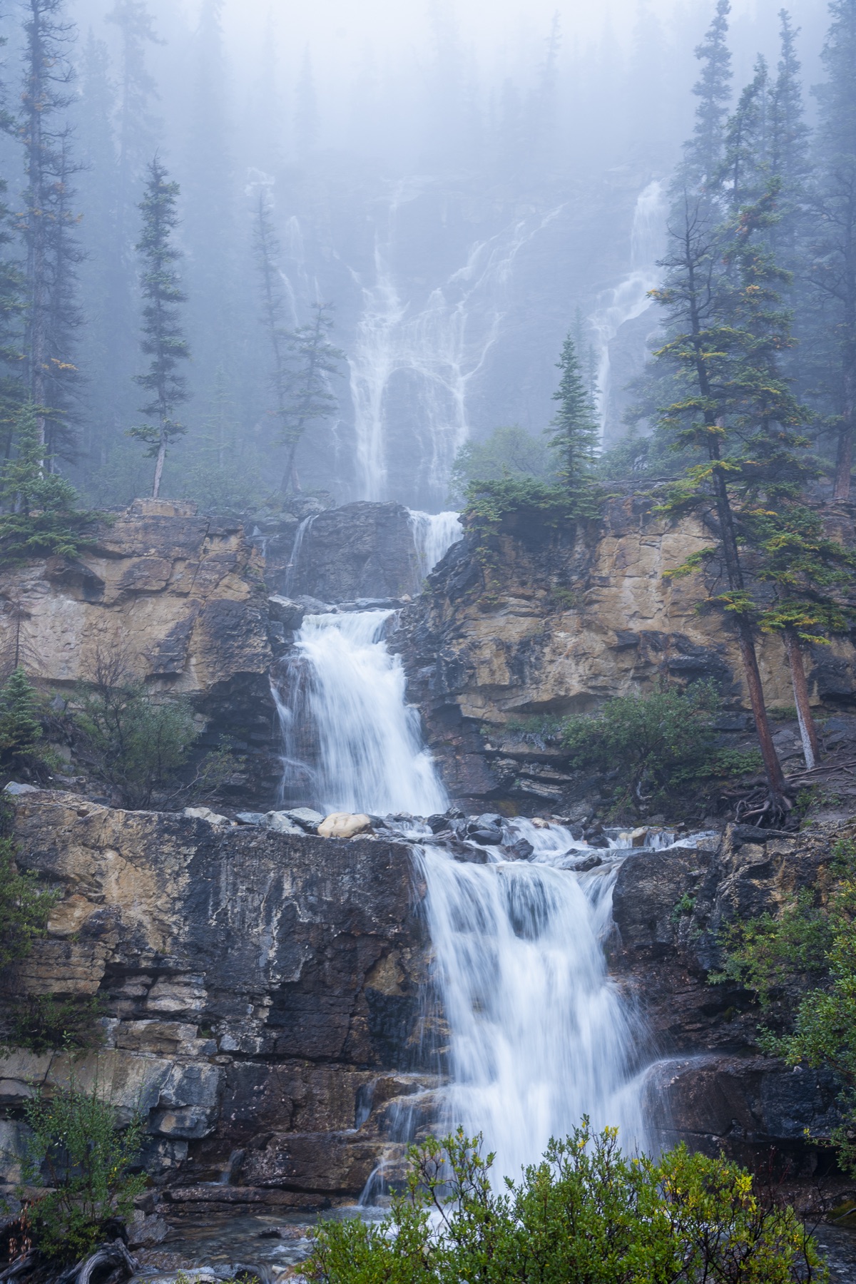 Chutes Tangle cascadant à travers une forêt embrumée dans les Rocheuses canadiennes.