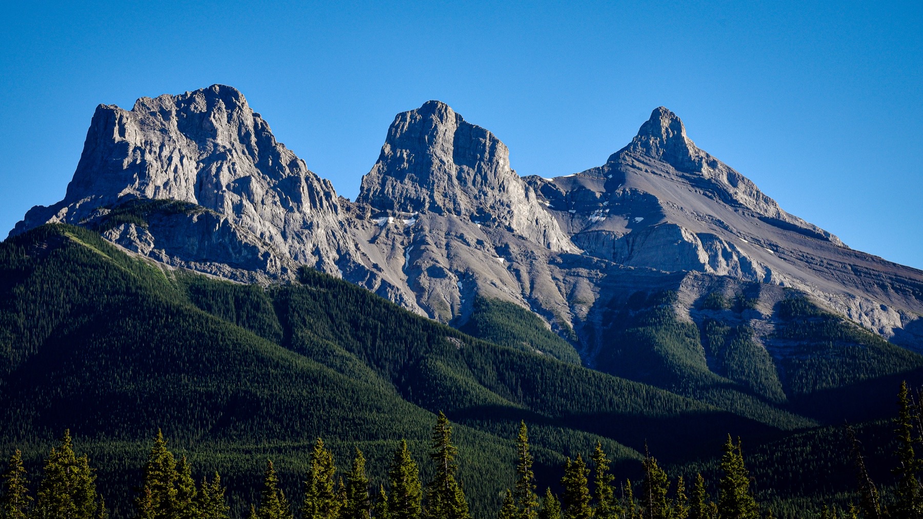 Les sommets rocheux des Three Sisters se dressant au-dessus d'une forêt de conifères, Alberta.
